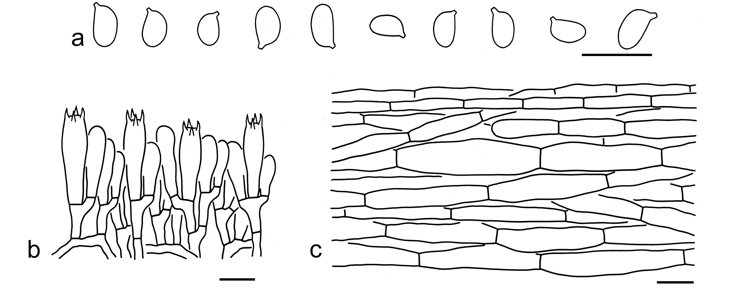 Figure 95